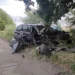 На Одещині водій на BMW влетів у дерево і вбив свого пасажира