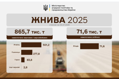 В Україні жнива проходять вже в дев
