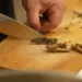 Кухарі Дніпра експериментують зі стравами з сарани