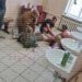 У Києві мобілізований порізав собі руки та шию на збірному пункті