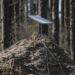 Польща продовжує фінансувати Starlink для України