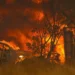 Історичне місто у Каліфорнії постраждало від лісових пожеж