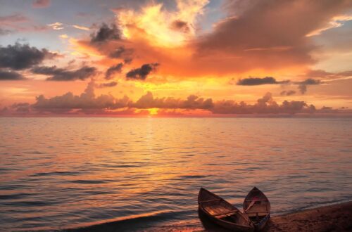 Гороскоп для всіх знаків зодіаку на 17 вересня 2025 року