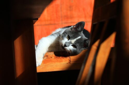 Гороскоп для всіх знаків зодіаку на 18 вересня 2025 року