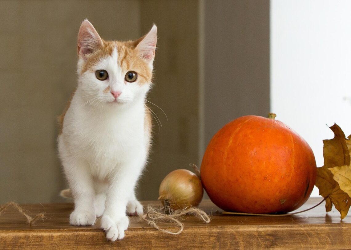 Гороскоп для всіх знаків зодіаку на 16 жовтня 2025 року