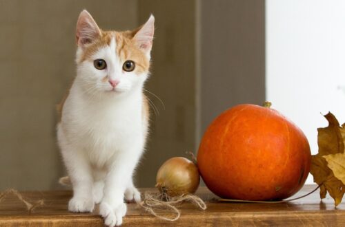 Гороскоп для всіх знаків зодіаку на 16 жовтня 2025 року