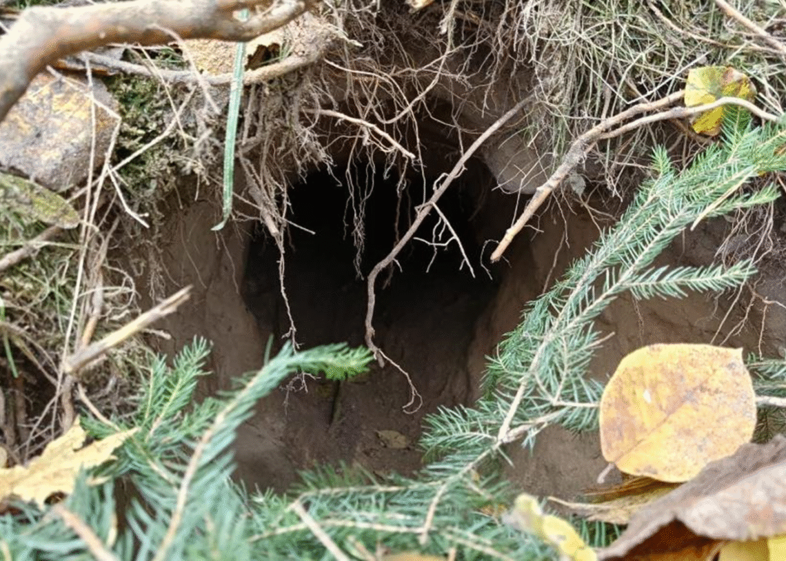 На кордоні між Польщею та Білоруссю виявили тунель