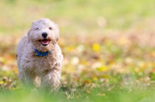 Гороскоп для всіх знаків зодіаку на 23 жовтня 2025 року