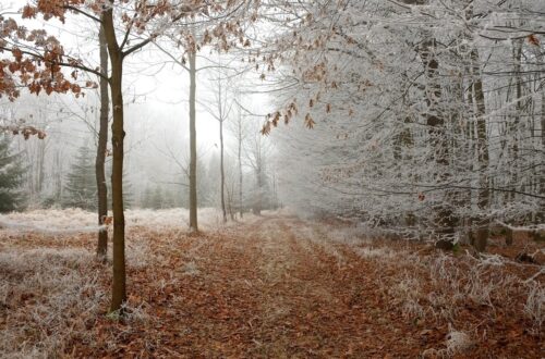 Гороскоп для всіх знаків зодіаку на 19 листопада 2025 року