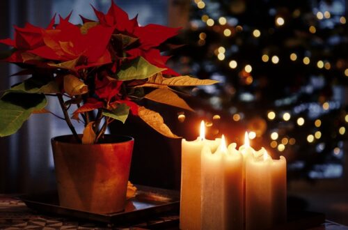 Гороскоп для всіх знаків зодіаку на 3 грудня 2025 року