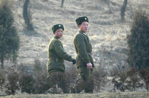 Названо втрати Північної Кореї у війні проти України