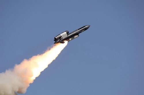 У мережі показали "приліт" Фламінго по Воткінську