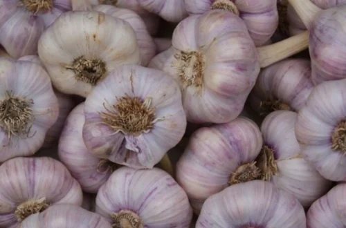 Китайський часник заполонив ринок України: виробники б’ють на сполох