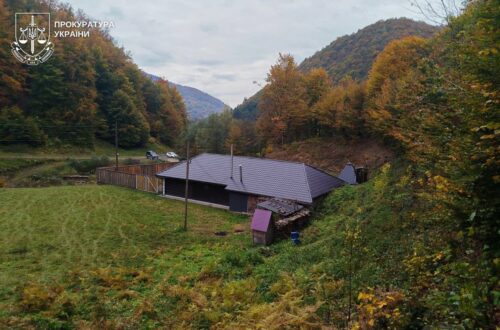 Лісничий з Закарпаття збудував маєток на самовільно захопленій ділянці