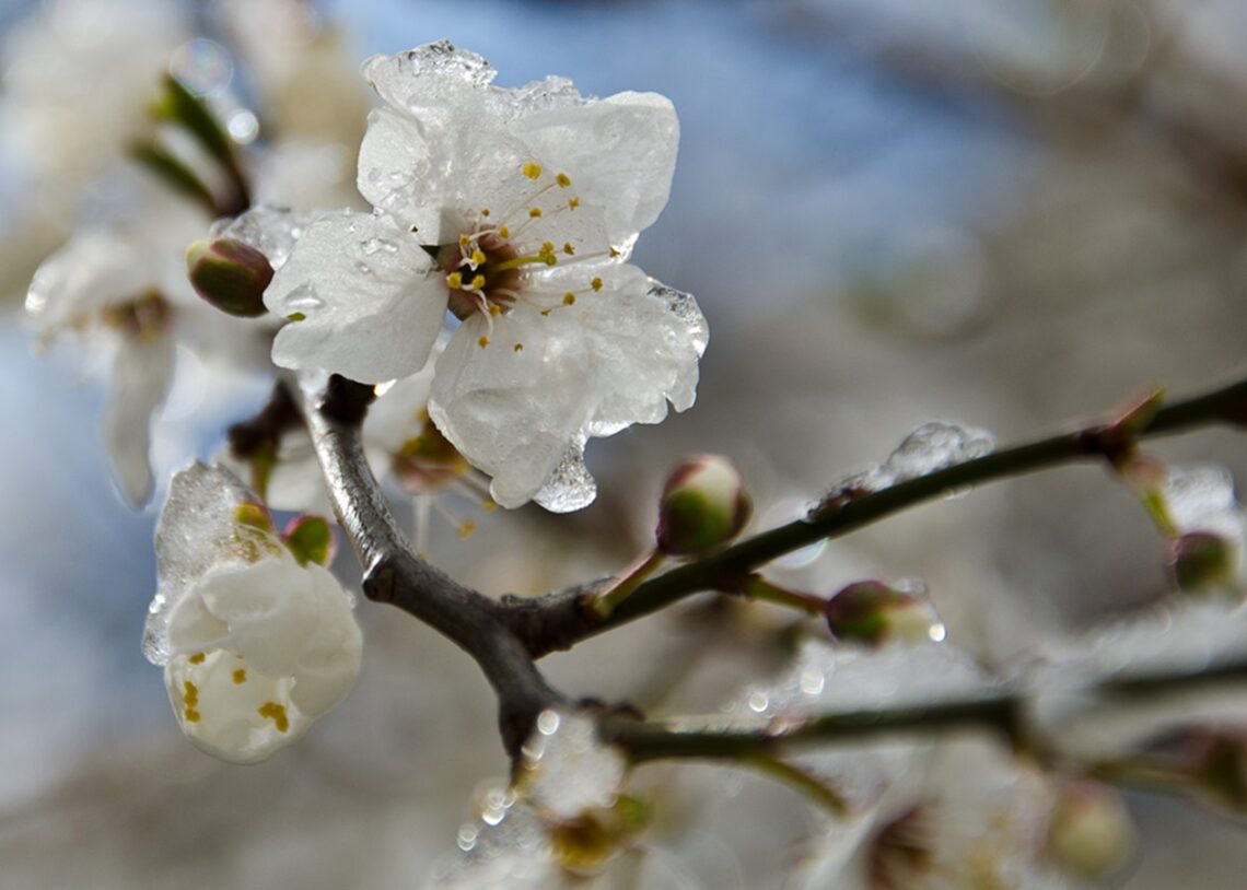 В Україні прогнозують подальше похолодання
