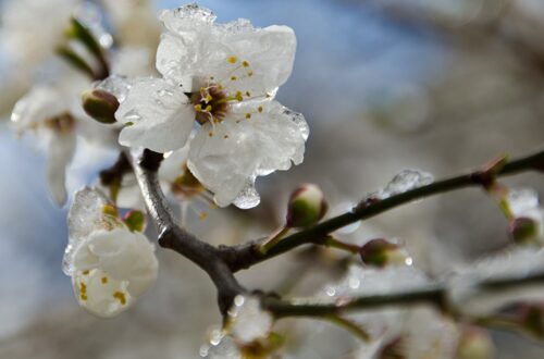 В Україні прогнозують подальше похолодання