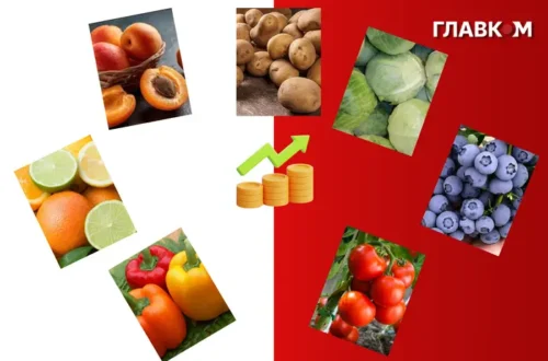 Сім популярних овочів та фруктів, які стануть розкішшю через аномальну погоду
