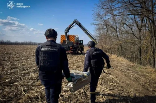 У полі на Київщині виявлено бойові частини ракети Х-101