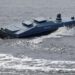 У Середземномор'ї відбувається щось неординарне: У прибережній печері грецького острова виявили морський дрон Magura V5, місцева влада розпочала розслідування