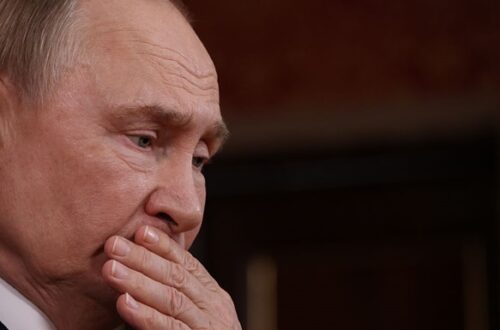 Шарф мли табакерка?