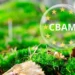 Депутати Європарламенту закликали Єврокомісію розглянути спеціальний режим CBAM для України