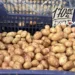 Молода картопля на столичних прилавках: огляд цін у супермаркетах та на ринках