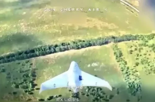На Запорізькому напрямку вперше збили новий російський дрон: "Черешня" розправилася з "Черникою" (відео)