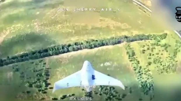На Запорізькому напрямку вперше збили новий російський дрон: "Черешня" розправилася з  "Черникою" (відео)