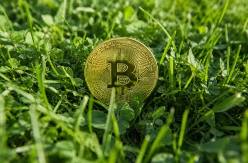 Біткоїн вперше за понад рік впав нижче $60 тис. – винні чипи та AI-акції