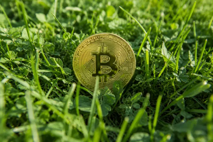 Біткоїн вперше за понад рік впав нижче $60 тис. – винні чипи та AI-акції