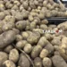 Картопля подорожчає восени? Науковець пояснив, як спека вплинула на врожай