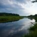 Рідкісні риби оселилися у водоймах Чорнобильської зони