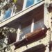 У Києві жінка викинула собаку з четвертого поверху