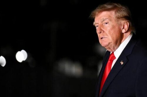 Підіграє Путіну: “Миротворчий” підхід Трампа до війни РФ проти України досі приніс більше шкоди, ніж користі, - Bloomberg